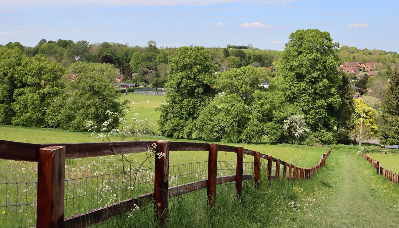 fields at St Mary Bourne